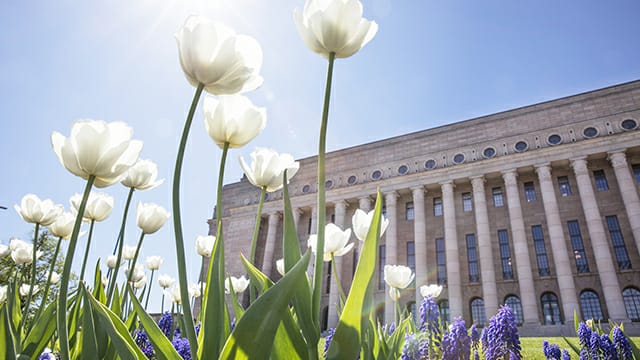 Kesätervehdys eduskunnasta